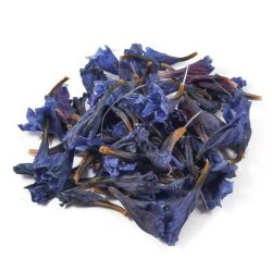 Borage flower2